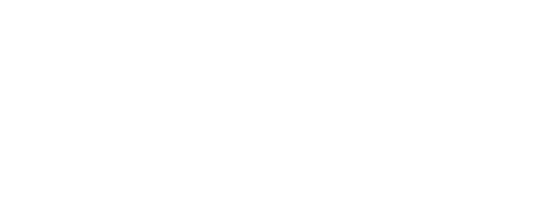 Chan Brothers Travel Singapore Logo